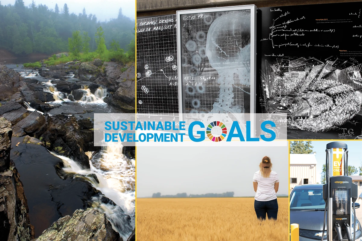 Sustainable goals graphic for U of M